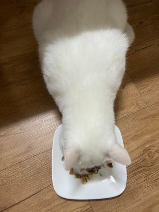 엘마마님이 올린 리뷰 사진 4