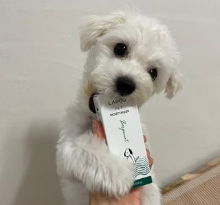 냥냥이님이 올린 리뷰 사진 1