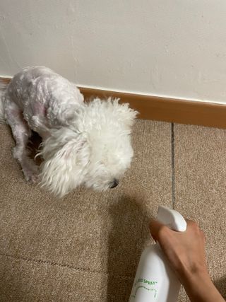 냥냥이님이 올린 리뷰 사진 2