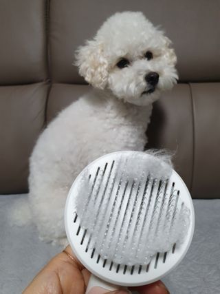 호두맘님이 올린 리뷰 사진 3