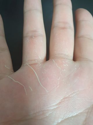 벨라리페라리님이 올린 리뷰 사진 3