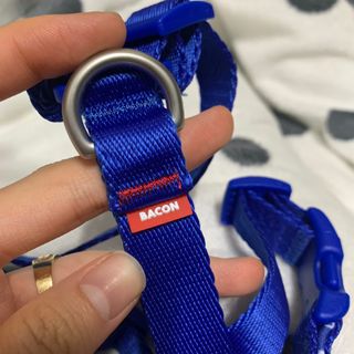 초오기님이 올린 리뷰 사진 2