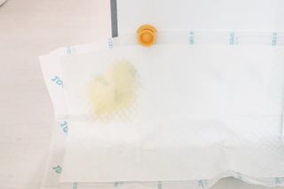 아베크 펫 와이드 프리미엄 중형 애견 강아지 배변 패드 54매 1팩 45g — 5점을 준 리뷰어가 2021년 7월 올린 사용 사진