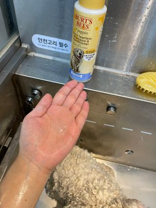 지예지예❤️님이 올린 리뷰 사진 3