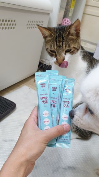 페페로니 잘 먹는 캣츄 - 원양선 참치 24개입 — 5점을 준 리뷰어가 2021년 7월 올린 사용 사진
