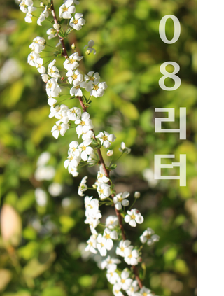 0.8L 마케팅팀 - — 5점을 준 리뷰어가 2021년 5월 올린 사용 사진