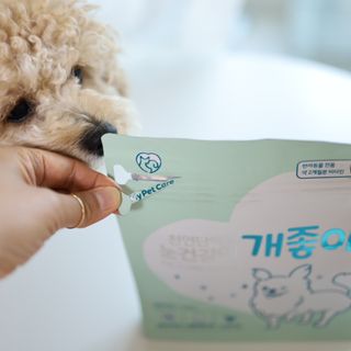 My Pet Care 천연단백질 눈건강에 개좋아 — 5점을 준 리뷰어가 2021년 3월 올린 사용 사진