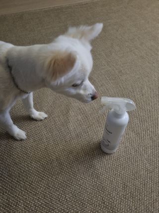 강이님이 올린 리뷰 사진 3