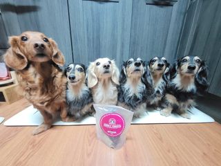5_daks님이 올린 리뷰 사진 1