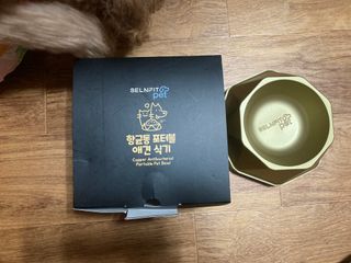 [세싹보울] 세균 싹~ 사라지는 셀앤핏 펫 항균동 애견식기 — 5점을 준 리뷰어가 2021년 6월 올린 사용 사진
