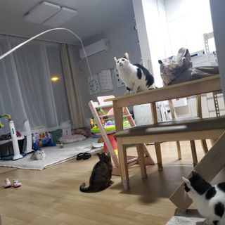 프랑프랑애드님이 올린 리뷰 사진 1
