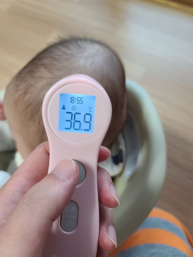 리앤웰 비접촉 체온계(DET-306) 리뷰 사진