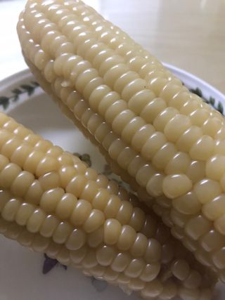 쭈또맘님이 올린 리뷰 사진 1
