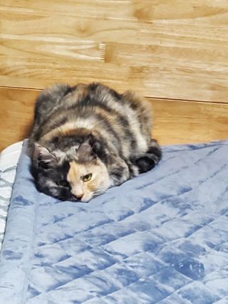 망구님이 올린 리뷰 사진 4