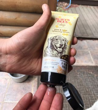 효니님이 올린 리뷰 사진 3