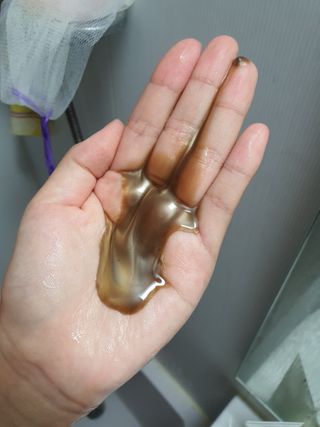 다슈코리아 다슈 데일리 단백질 한방 두피 골드 샴푸 500ml — 5점을 준 리뷰어가 2021년 1월 올린 사용 사진