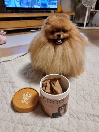 아롱이님이 올린 리뷰 사진 2