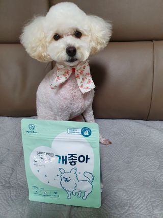 My Pet Care 천연단백질 눈건강에 개좋아 — 5점을 준 리뷰어가 2020년 12월 올린 사용 사진
