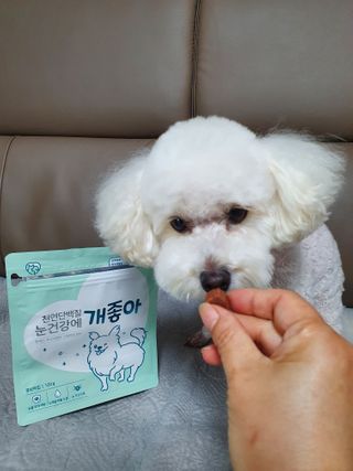 My Pet Care 천연단백질 눈건강에 개좋아 — 5점을 준 리뷰어가 2020년 12월 올린 사용 사진