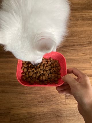민트초코님이 올린 리뷰 사진 4