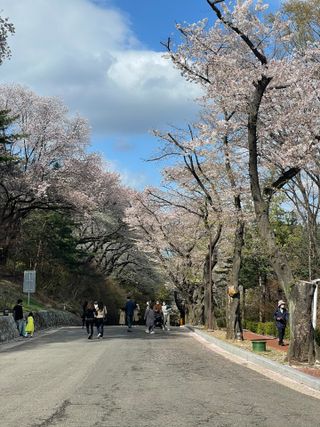 콩콩님이 올린 리뷰 사진 1