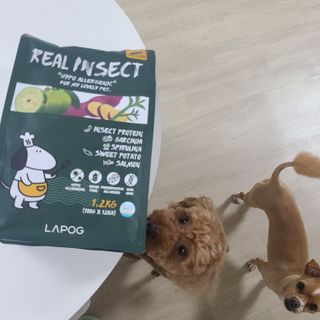 [푸디웜] 라포그  리얼인섹트 웨이트밸런스 저알러지 강아지 사료  1.2KG — 4점을 준 리뷰어가 2021년 7월 올린 사용 사진