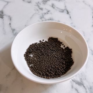주식회사 보삼바이오산업 핼시365 프리미엄 _ 베이지 — 5점을 준 리뷰어가 2022년 2월 올린 사용 사진
