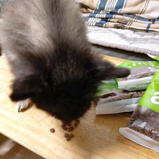 복도리님이 올린 리뷰 사진 3