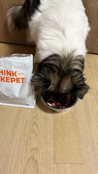 씽크라이크펫 큐브생식 1kg — 4점을 준 리뷰어가 2022년 11월 올린 사용 사진