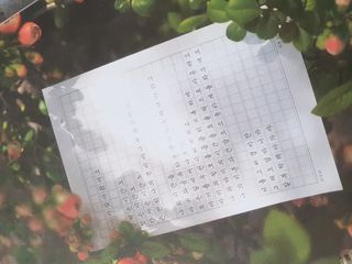 미진냥님이 올린 리뷰 사진 2