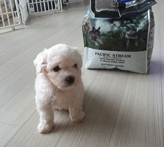 엘쏘둥님이 올린 리뷰 사진 1