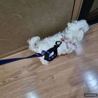 트위티한하루 tweetietwenty님이 올린 리뷰 사진 1