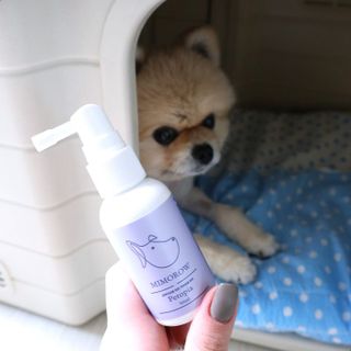 박할미님이 올린 리뷰 사진 2