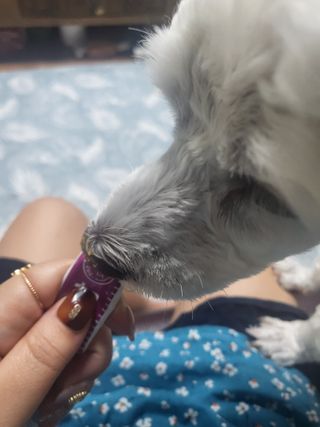 햄님이 올린 리뷰 사진 2
