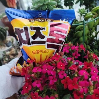 우기기우기님이 올린 리뷰 사진 1
