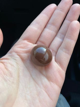 댕댕이님이 올린 리뷰 사진 3