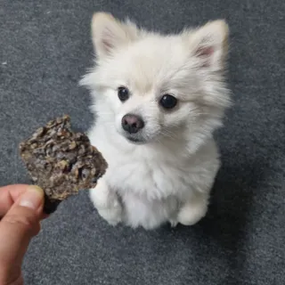 빵슬님이 올린 리뷰 사진 4