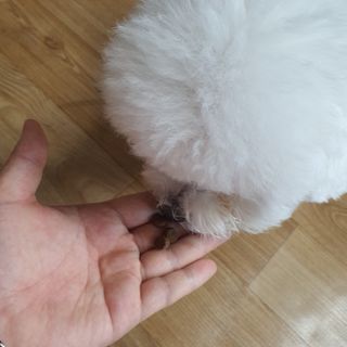 멜랑꼴랑뿌뿌님이 올린 리뷰 사진 3