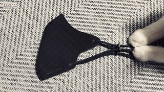 토모님이 올린 리뷰 사진 2