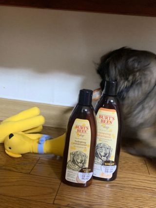 쏘피아님이 올린 리뷰 사진 4