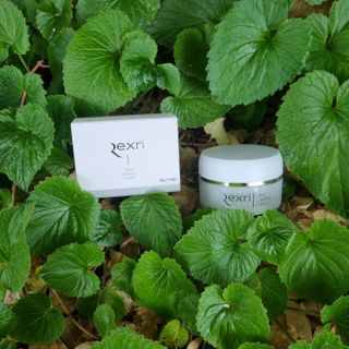 렉스리 크리에이티브 크림  Rexri Creative Cream — 5점을 준 리뷰어가 2022년 6월 올린 사용 사진