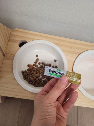 둥가둥가우리도도님이 올린 리뷰 사진 3