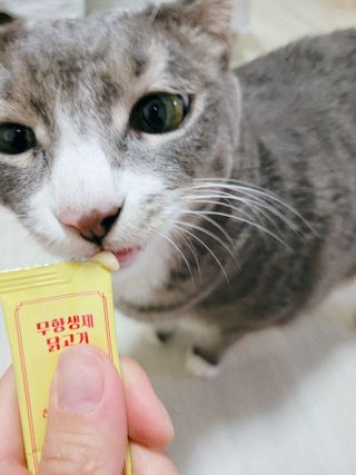 루나님이 올린 리뷰 사진 3