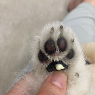 덕구리누나님이 올린 리뷰 사진 1