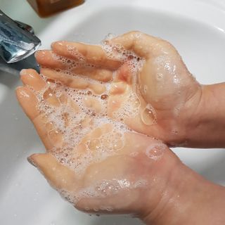 세지니힛님이 올린 리뷰 사진 2