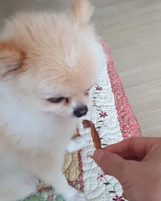 보미누나님이 올린 리뷰 사진 2