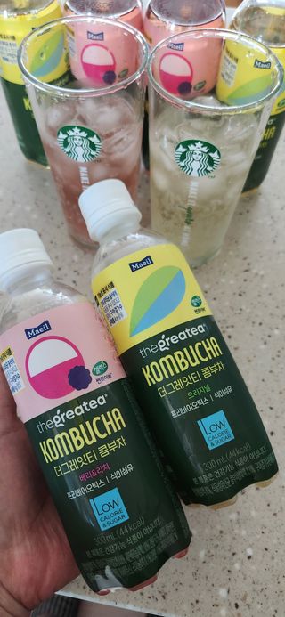 더그레잇티 콤부차 [매일유업] 더그레잇티 44kcal 콤부차 300ml *12개입 (오리지널 6개+베리리치 6개) — 5점을 준 리뷰어가 2023년 7월 올린 사용 사진