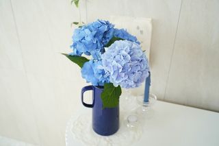 루빈님이 올린 리뷰 사진 3