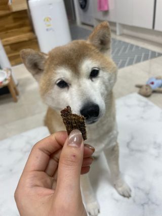 라미라미님이 올린 리뷰 사진 3