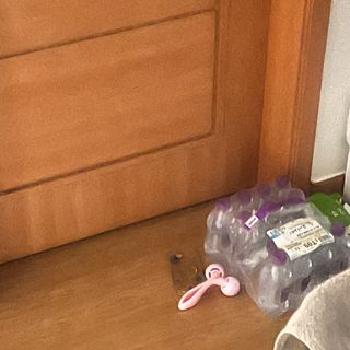 몽베스트 [MONTBEST] 330mL 20병 — 5점을 준 리뷰어가 2024년 3월 올린 사용 사진